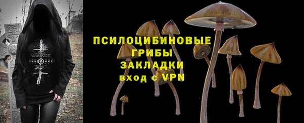 PSILOCYBIN Богданович